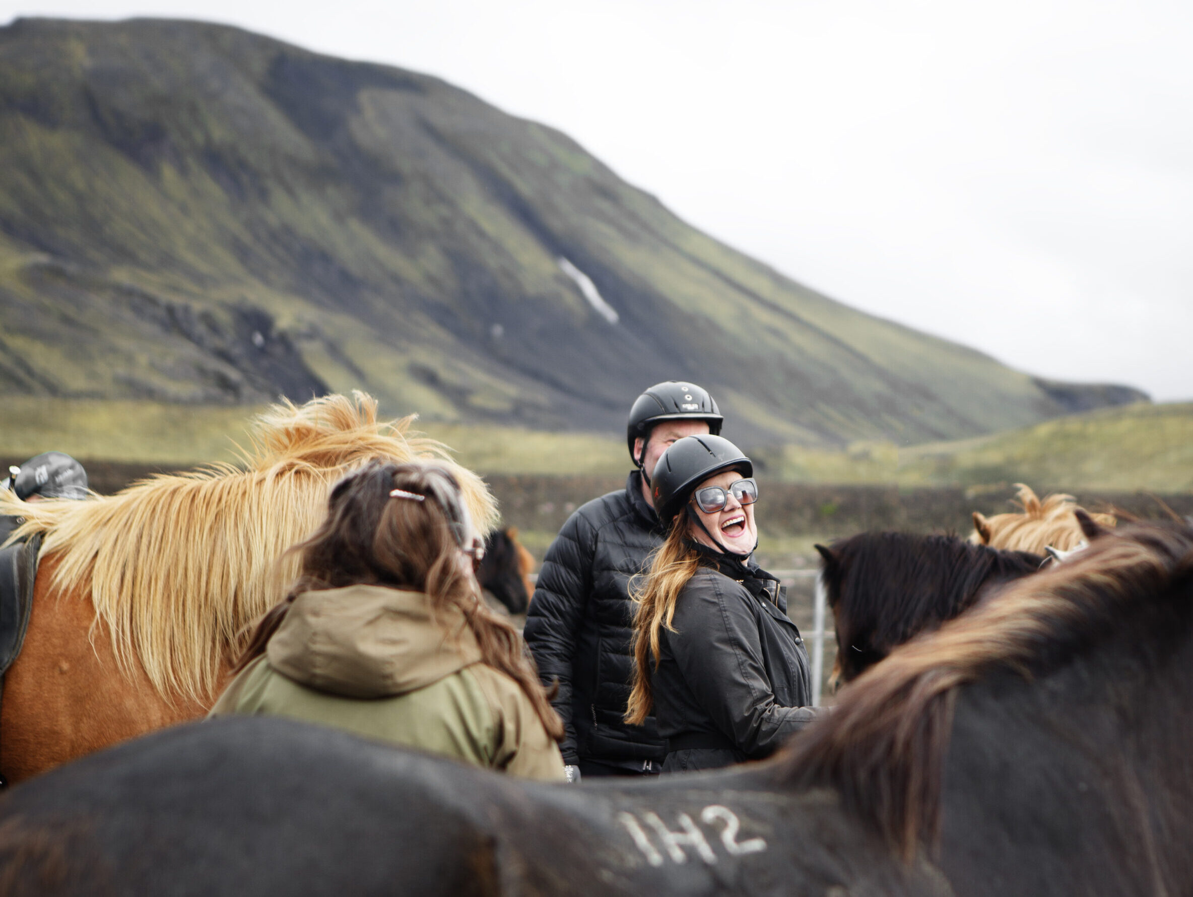 A female traveller riding horses in Iceland