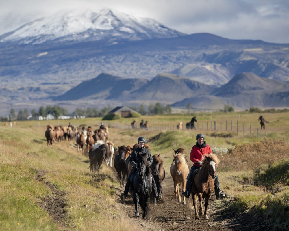 ICE_2063_8209-copy-scaled