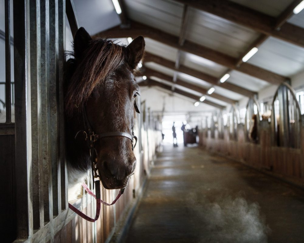 ICE_3444-copy-scaled-e1670243411126