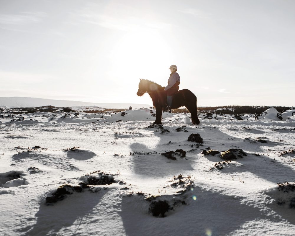 ICE_3475-copy-scaled