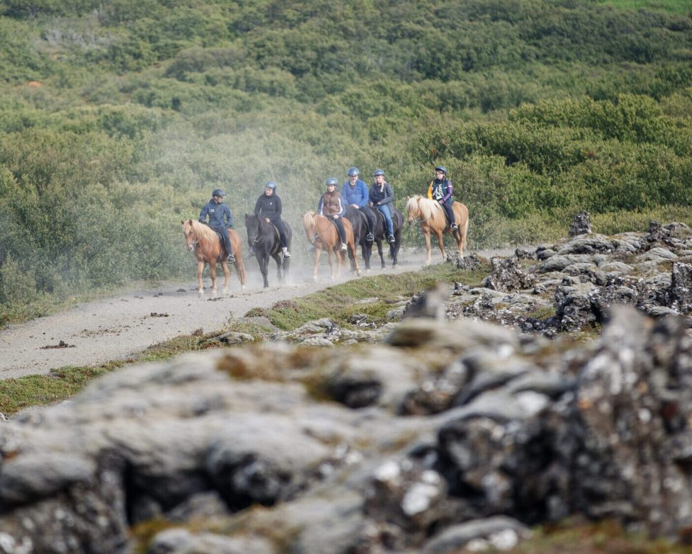 ICE_7375_3188-copy-scaled-e1698940475436