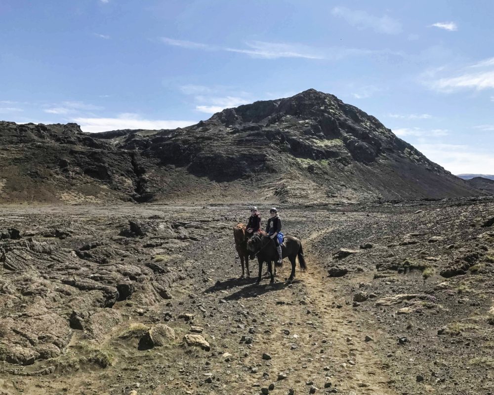 IMG_7751-copy-scaled