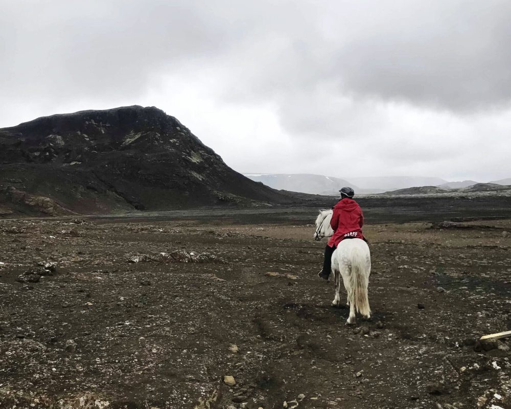 IMG_8976-copy-scaled-e1727955106905