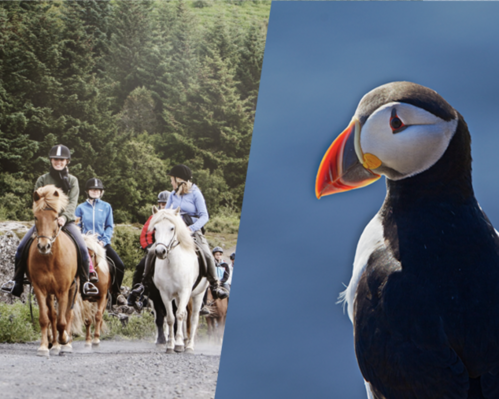 Screen-Shot-2023-05-24-at-17.42.23-e1684950471784