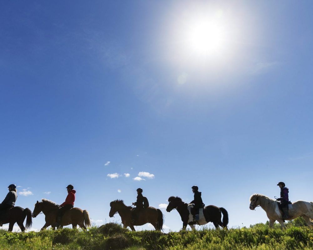 VikingTour-1-scaled-1