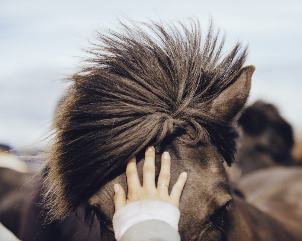 s-VAL42880-e1670244064170